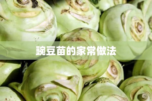 豌豆苗的家常做法