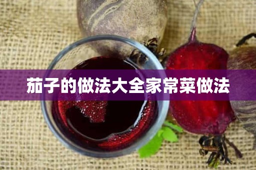 茄子的做法大全家常菜做法