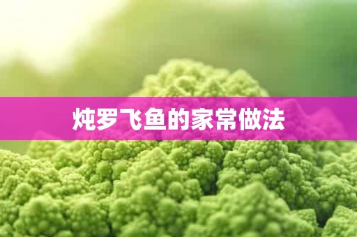 炖罗飞鱼的家常做法