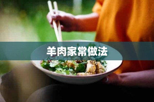 羊肉家常做法