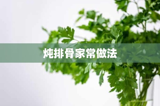 炖排骨家常做法