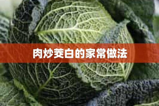 肉炒茭白的家常做法