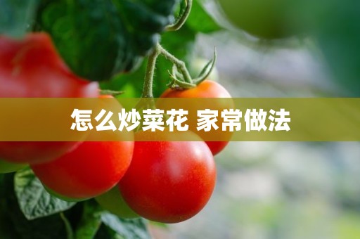 怎么炒菜花 家常做法