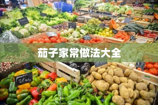 茄子家常做法大全