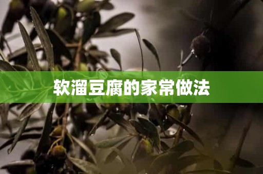 软溜豆腐的家常做法