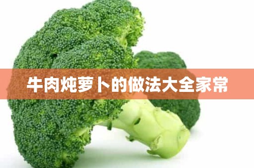 牛肉炖萝卜的做法大全家常