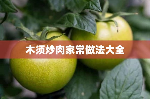 木须炒肉家常做法大全