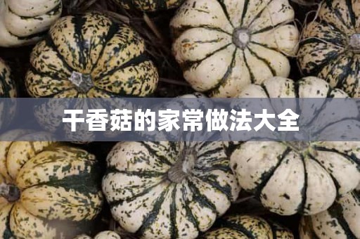 干香菇的家常做法大全