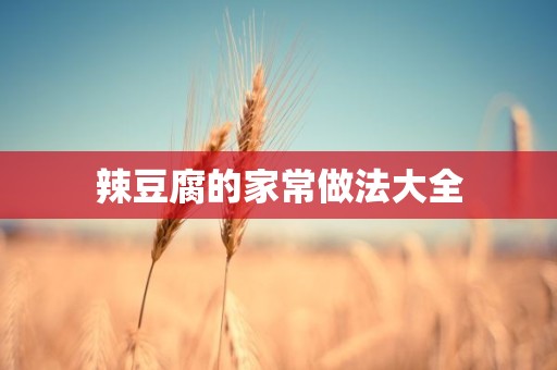 辣豆腐的家常做法大全