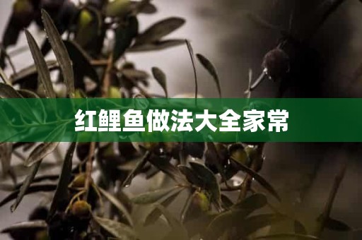 红鲤鱼做法大全家常