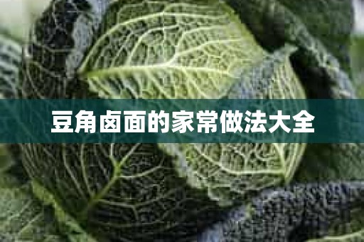 豆角卤面的家常做法大全