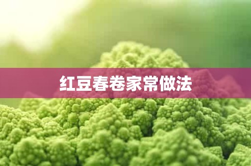 红豆春卷家常做法