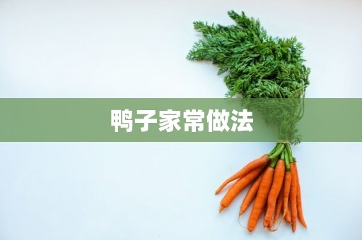 鸭子家常做法