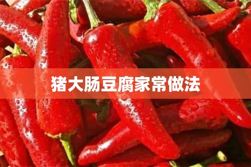 猪大肠豆腐家常做法