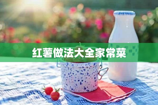 红薯做法大全家常菜