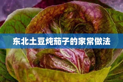 东北土豆炖茄子的家常做法