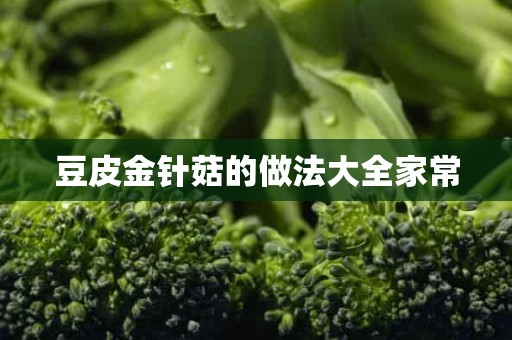 豆皮金针菇的做法大全家常