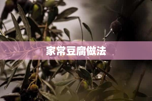 家常豆腐做法