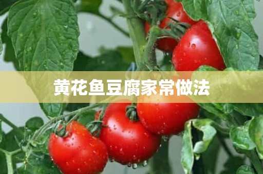 黄花鱼豆腐家常做法