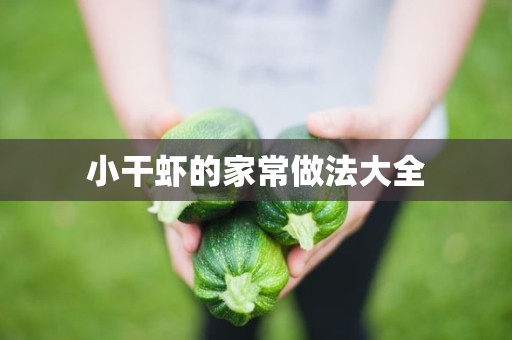 小干虾的家常做法大全