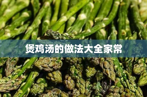 煲鸡汤的做法大全家常