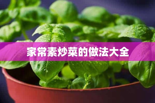 家常素炒菜的做法大全