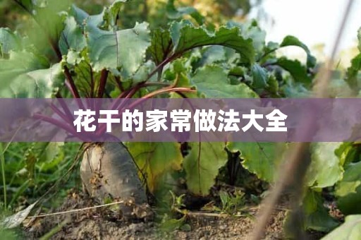 花干的家常做法大全