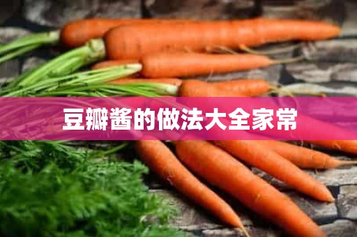 豆瓣酱的做法大全家常