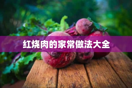 红烧肉的家常做法大全