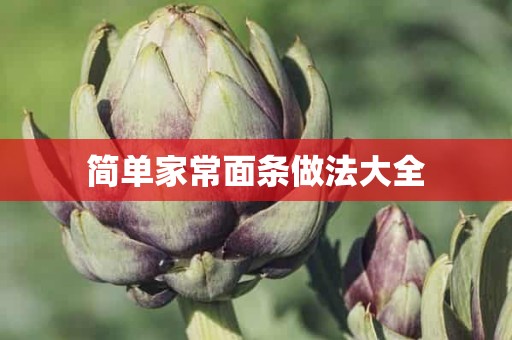 简单家常面条做法大全