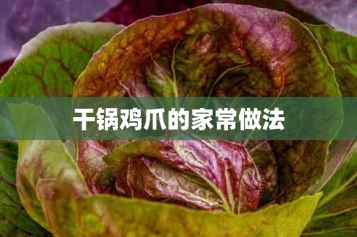 干锅鸡爪的家常做法