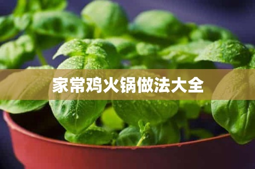 家常鸡火锅做法大全