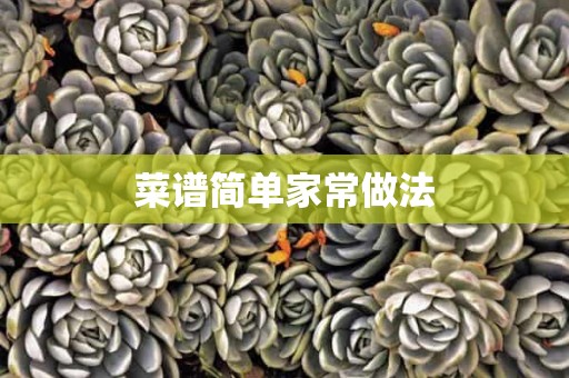 菜谱简单家常做法