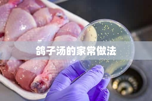 鸽子汤的家常做法