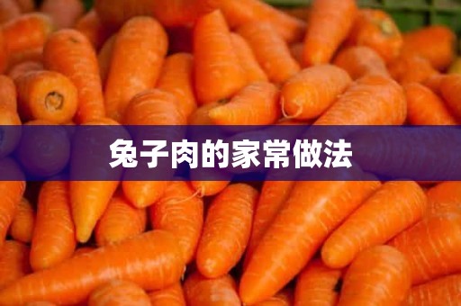 兔子肉的家常做法