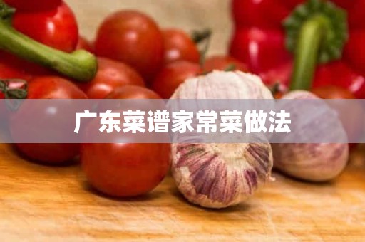 广东菜谱家常菜做法