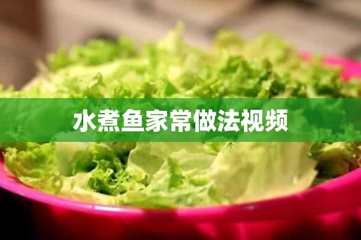 水煮鱼家常做法视频