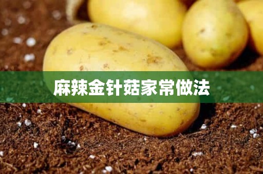 麻辣金针菇家常做法