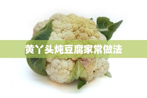 黄丫头炖豆腐家常做法